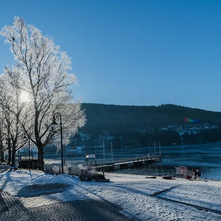 بارين تيتيسي 4* تيتيسي نيوستادت