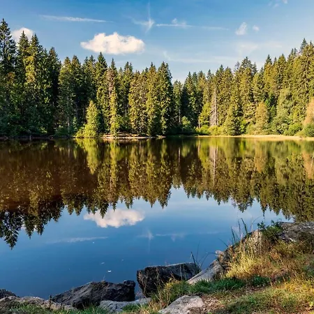 Hotel Baren Titisee-Neustadt