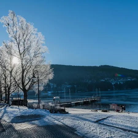 Baren Hotel Titisee-Neustadt