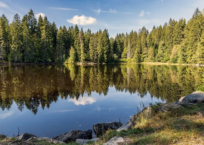 بارين تيتيسي