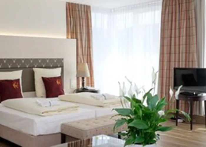 فندق بارين تيتيسي تيتيسي نيوستادت