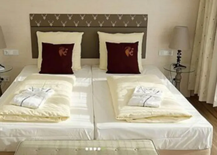 بارين تيتيسي فندق