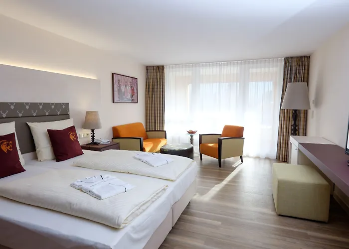 فندق بارين تيتيسي تيتيسي نيوستادت