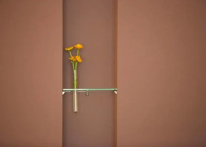 فندق بارين تيتيسي تيتيسي نيوستادت