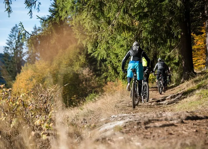 بارين تيتيسي 4*