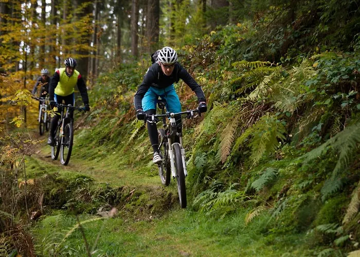 Ξενοδοχείο Baeren 4*