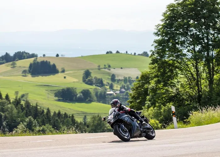 فندق بارين تيتيسي