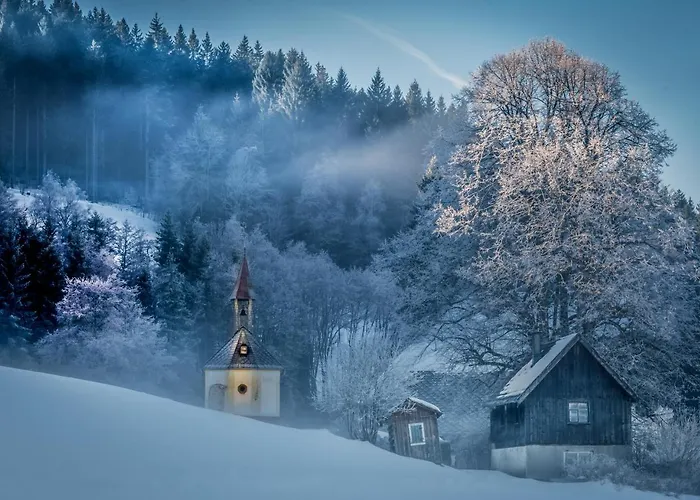 بارين تيتيسي