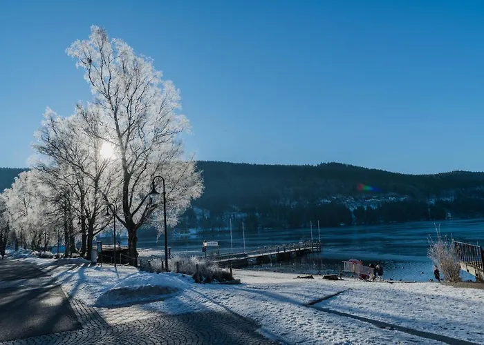Bären Hotel Titisee-Neustadt