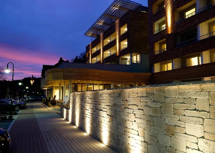 Bären Titisee-Neustadt